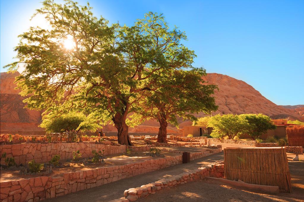 Nayara Alto Atacama San Pedro de Atacama Exterior foto