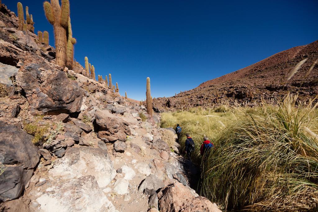 Nayara Alto Atacama San Pedro de Atacama Exterior foto